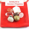 FERTILITY KIT